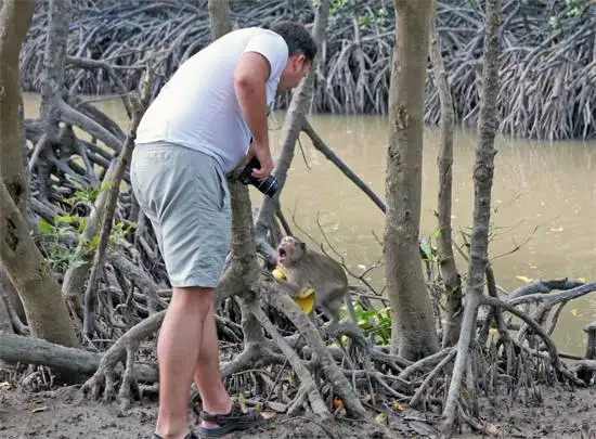 turista-rusa-contra-mono