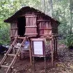 raja-ampat-biodiversity-cabana
