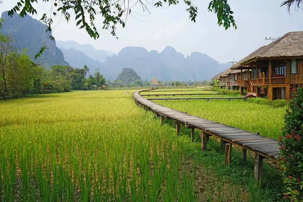 Paisaje de campos de arroz de Vang Vieng Paisaje de Vang Vieng